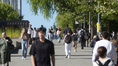 Universities and colleges will have their number of international students capped under new legislation.