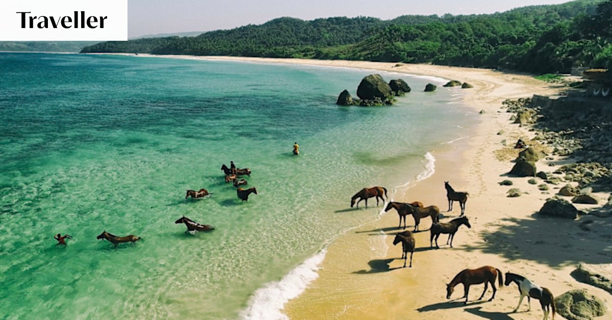 In the Year of the Horse, here’s an experience to boost your mental health