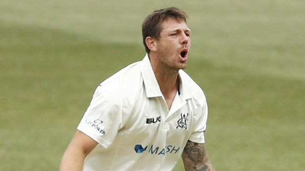 James Pattinson has been released from the Test squad to play for Victoria in the Sheffield Shield.
