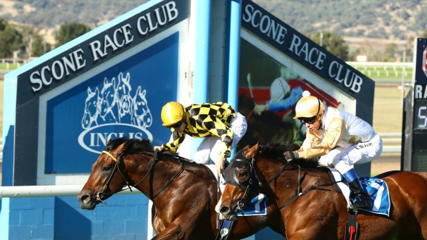 Racing returns  to Scone on Tuesday with an eight-race card.