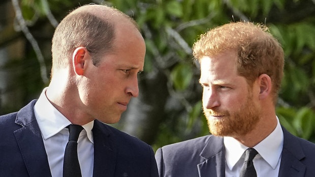 Princes William and Harry have famously fallen out in recent years.