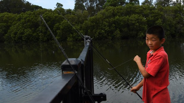 Andrew Li aged 10, puts bait on one of his rods while fishing on the Cooks River at Boat Harbour in Hurlstone Park.