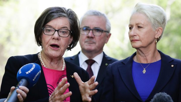 Dr Kerryn Phelps joins crossbench MPs Cathy McGowan and Andrew Wilkie  at Parliament House in October.