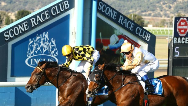It's a bumper 8-race card at Scone on Friday