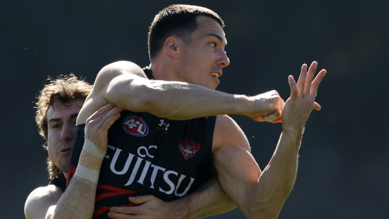 Still time if he’s good enough: The ‘different beast’ who can still have an impact for the Bombers