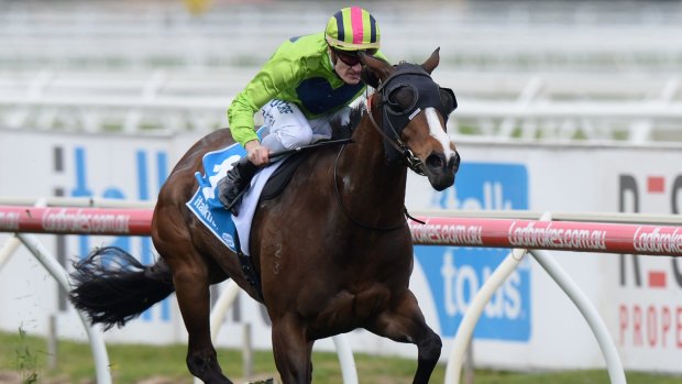 Blinkers on: Snitty Kitty wins at Caulfield last spring.