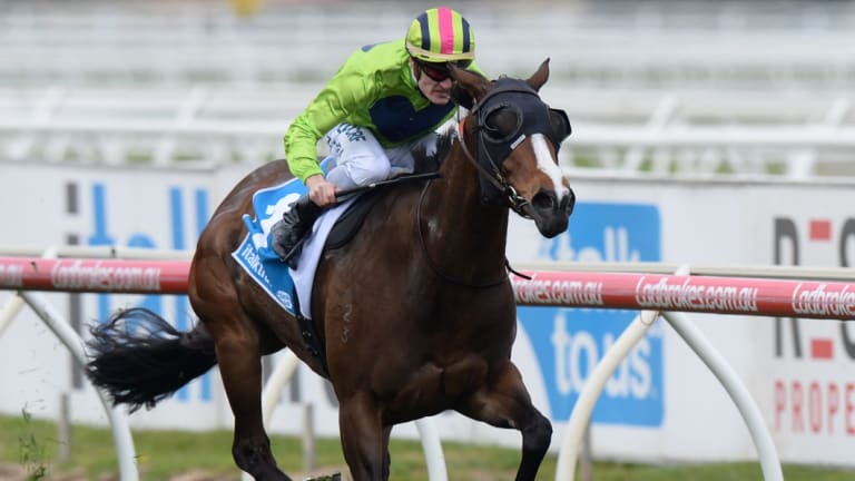 Blinkers on: Snitty Kitty wins at Caulfield last spring.