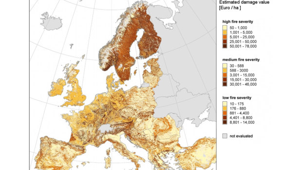 Predicted wildfire damage value in Europe under three different scenarios. 