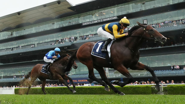 Storm Boy takes out the Skyline Stakes as part of his unbeaten run to the Golden Slipper.