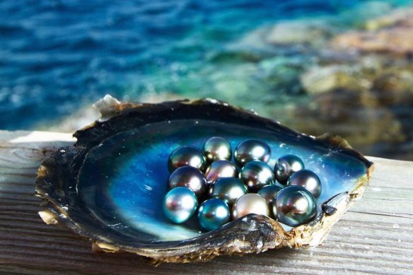 Luminous treasures… Robert Wan pearls.