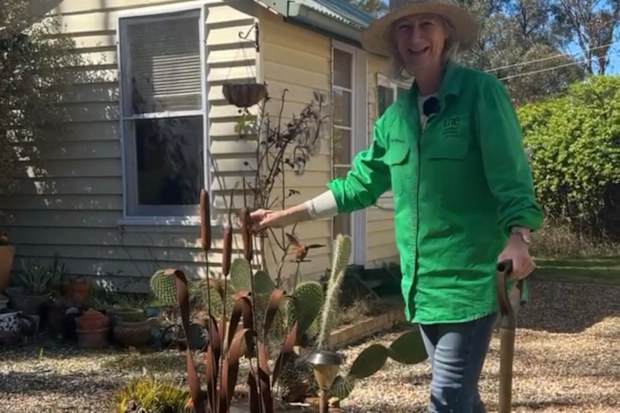 UNE professor of pollution science Sue Wilson gardening at her home