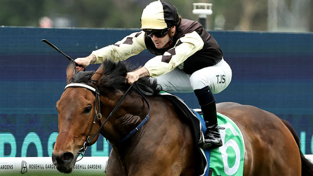 Race-by-race preview and tips for Saturday’s meeting at Rosehill
