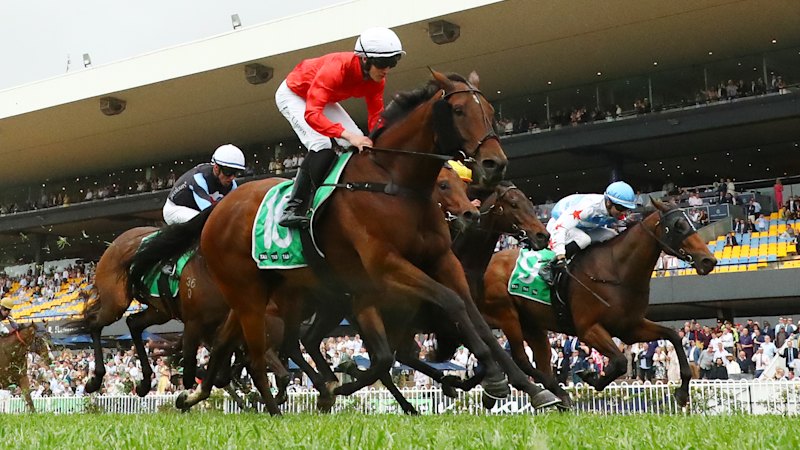 Race-by-race tips and previews for Randwick on Saturday