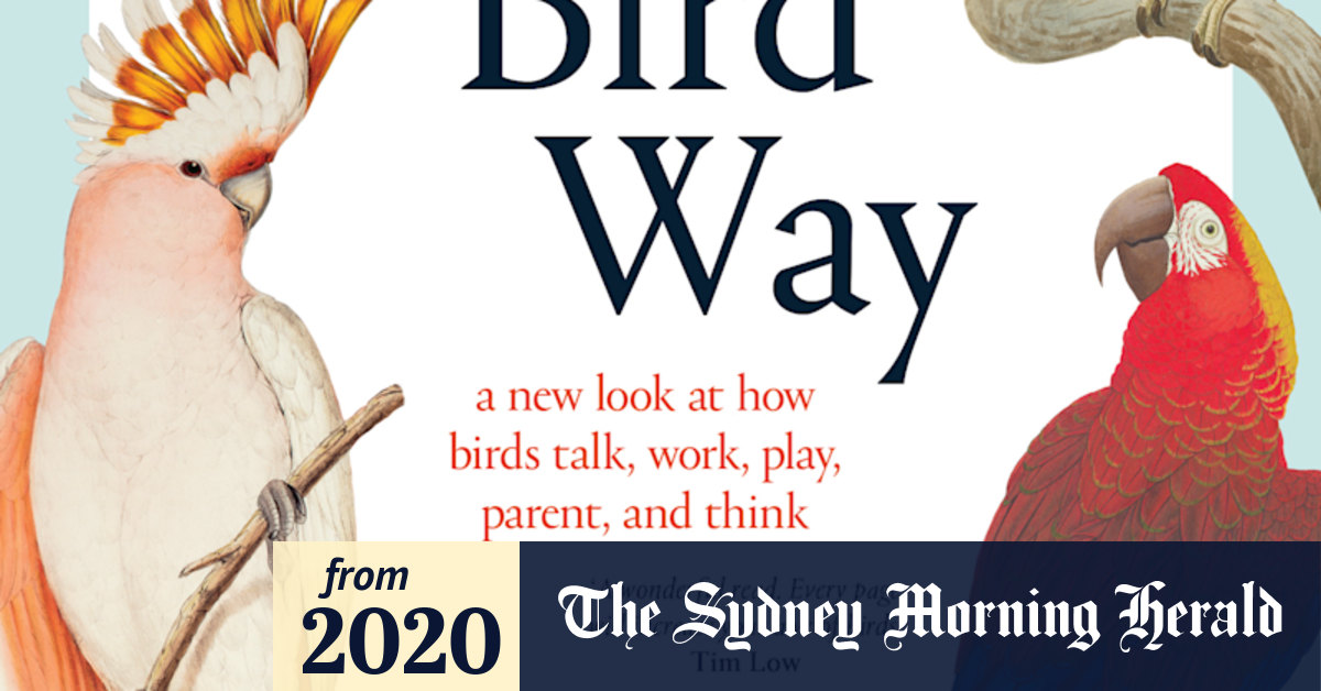 Non-fiction reviews: The Bird Way and three other titles