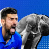 Novak Djokovic recovered... again.