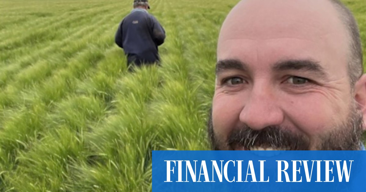 Farmers welcome wheat price spike after Iran conflict