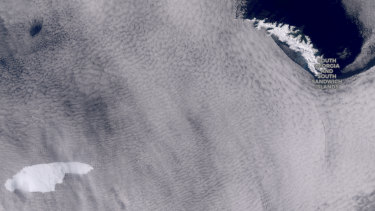 Satellite image of the iceberg floating towards South Georgia. 