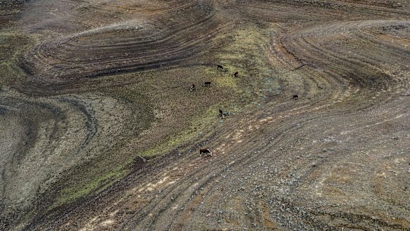 Bone-dry: Drought-ravaged farming land in NSW. 

