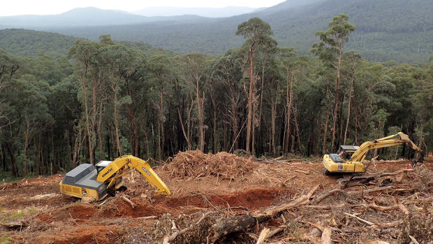 Land clearing is a major driver of animal extinctions.