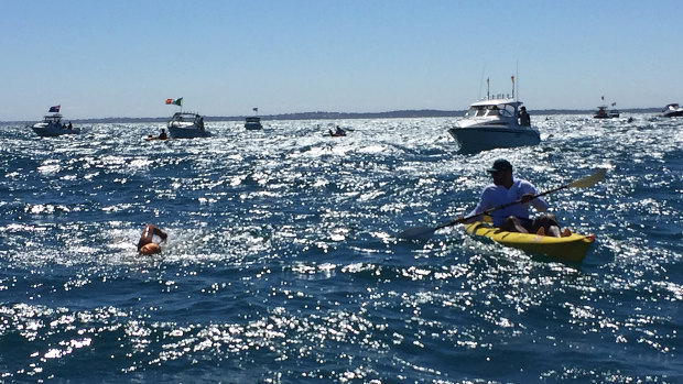 Swimmers in February's Rottnest Channel Swim, not long before they were pulled out of the water due to a shark sighting.