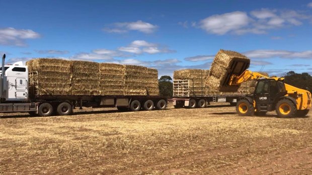 Up to 50 road trains are heading to north-west Queensland with fodder to help struggling farmers. Most are coming from South Australia and have been organised by Rural Aid.
