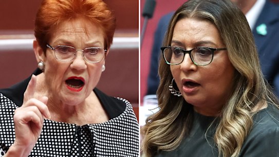One Nation leader Pauline Hanson and Greens deputy Mehreen Faruqi.