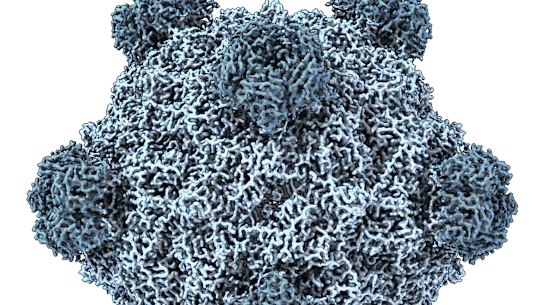 A Stanford University rendering of a virus created by an AI model.