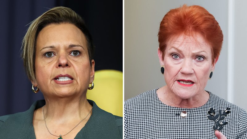 Labor minister urges Pauline Hanson to reflect after ‘incitement’ accusations