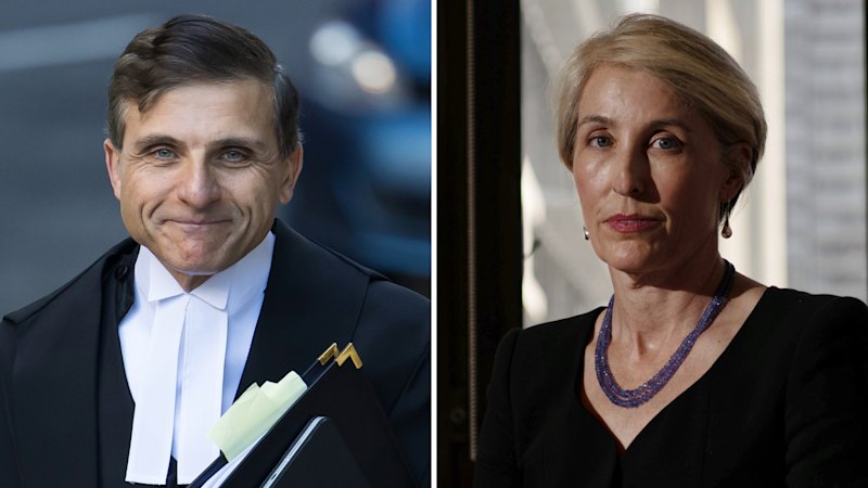 ‘Serious finding’ about DPP must be considered carefully: top silk