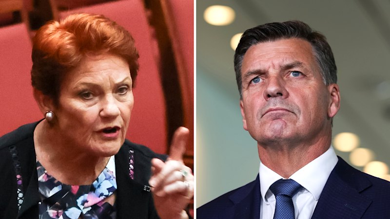 Coalition plans assault on One Nation’s credibility to avoid South Australia-style wipeout