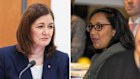 Liberal senator Sarah Henderson and Labor’s Michelle Ananda-Rajah clashed during a late-night estimates hearing. 