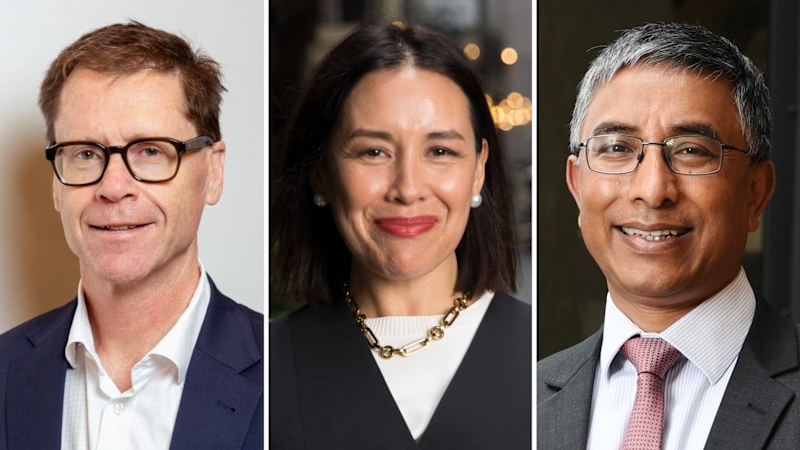 Ten stock pickers on how they traded a wild reporting season