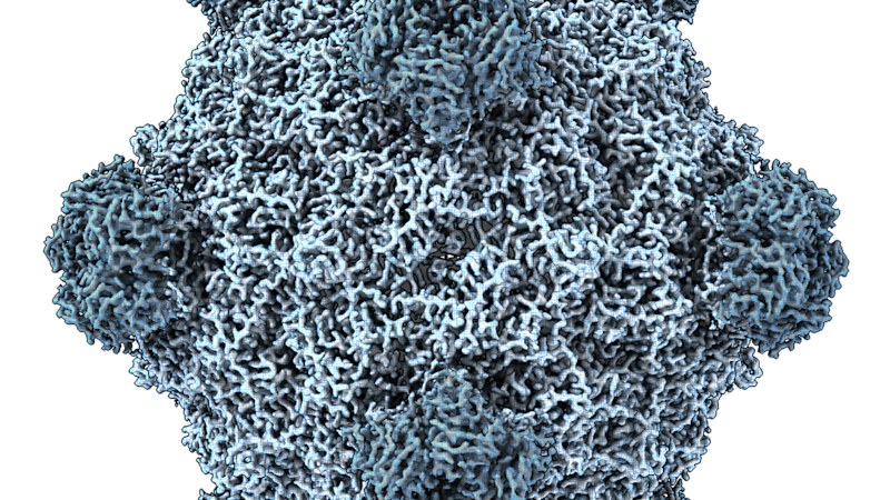 This AI just created viruses not found in nature