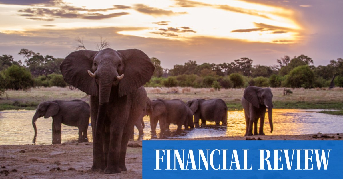 Why this is the year to finally go to Africa