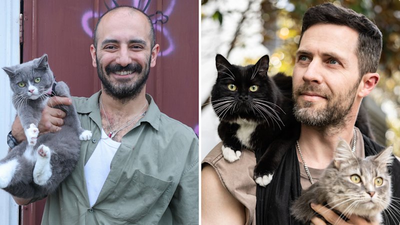 ‘Green flags’: What’s behind the growing obsession with men and cats?