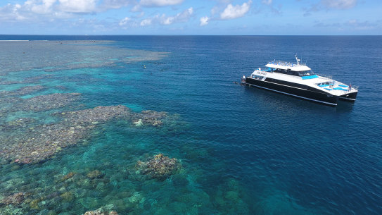 Some Great Barrier Reef tours are running at 5 per cent capacity. 