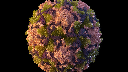 A polio virus particle.