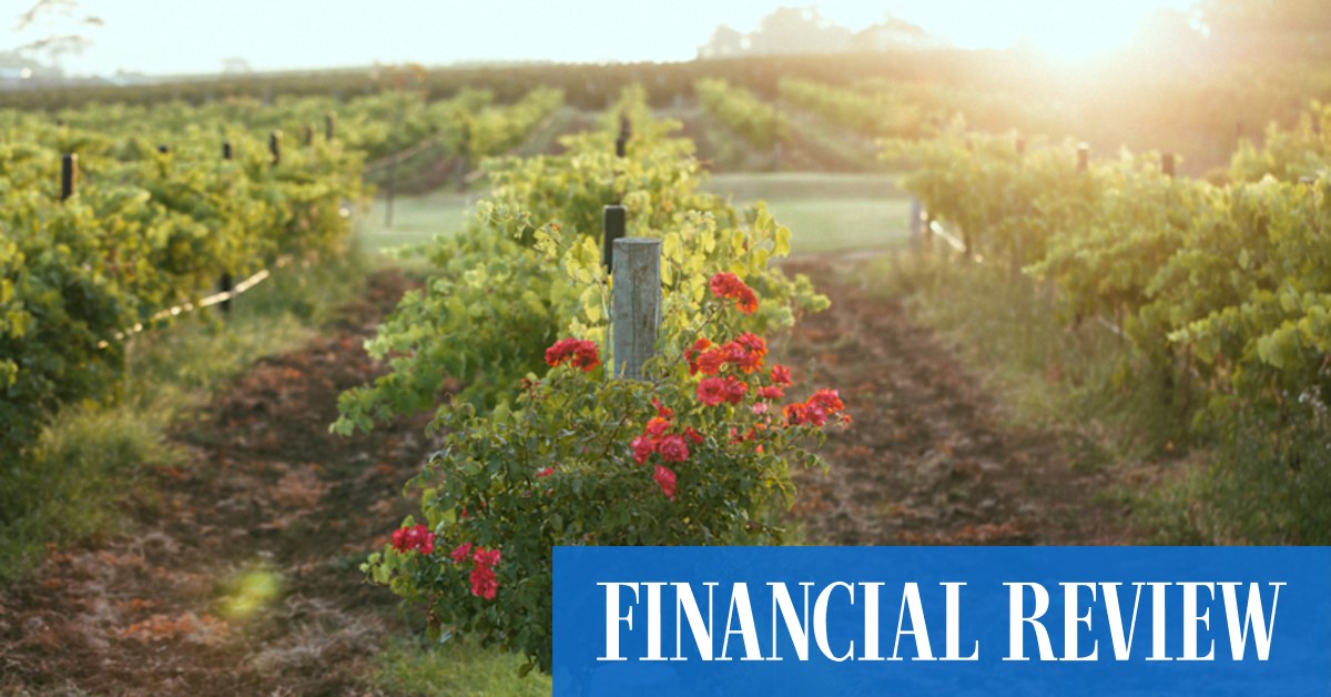 Australia's $8m in wine sales to Russia stoppered - Vimarsana News