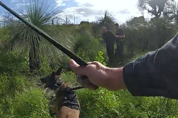Two men were arrested in bushland in Perth’s southern suburbs before being charged over the alleged theft of rare collectable cards.