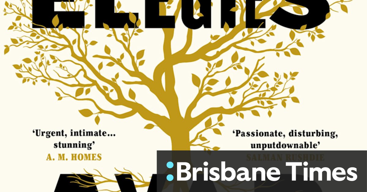Fiction reviews: The brilliant Homeland Elegies and three more titles - Vimarsana News