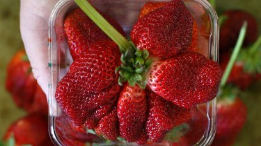 Strawberry farms have not been immune from the coronavirus pandemic.