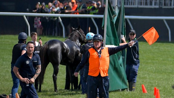 The Cliffsofmoher is attended to on the track after suffering an injury.