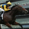 Storm Boy holds off Prost in the Skyline Stakes.