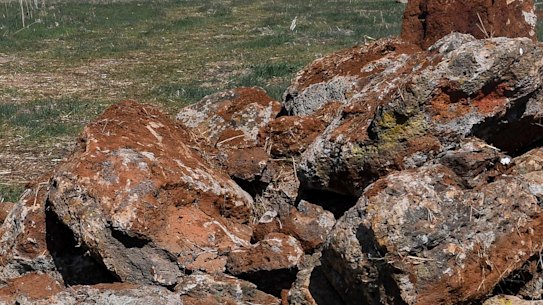 Farmer Adrian McMaster points to rocks he accidentally removed from an ancient Aboriginal stone arrangement in Lake Bolac.