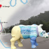 The journey of Spenser the rhinoceros.