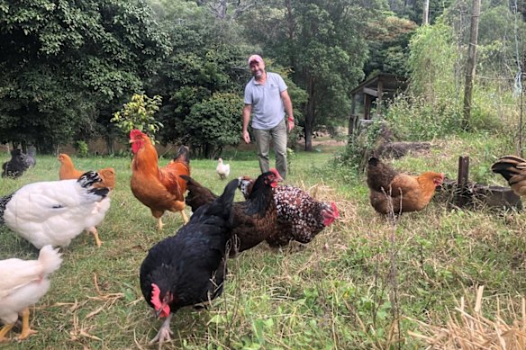 Professor Eugeni Roura with some happy hens.