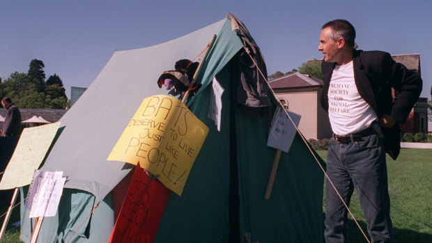 Lawrence Pope stands outside a tent he pitched in the Gardens during the Bat Wars.