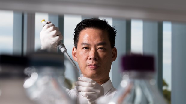 Dr Ben Tang is adapting his biomarker blood test for influenza to detect COVID-19 patients at high risk of becoming critically ill. 