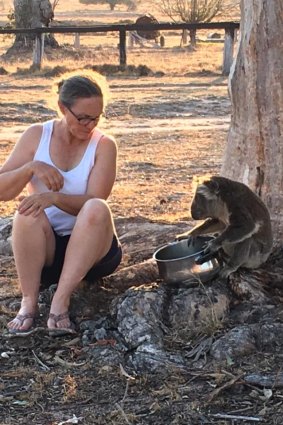 Farmer Libby Swan with one of the koalas that come for water at her north-western NSW farm.