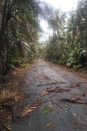 Trees have fallen but residents say there is 'overall not too much damage' after ex-Tropical Cyclone Uesi passed over Lord Howe Island.
